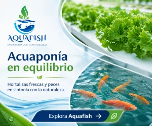 Publicidad