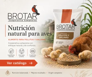 Publicidad