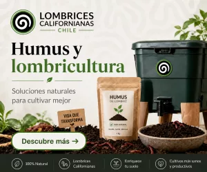 Publicidad