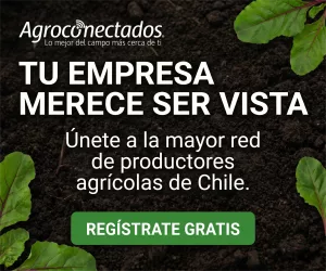 Publicidad