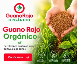 Publicidad