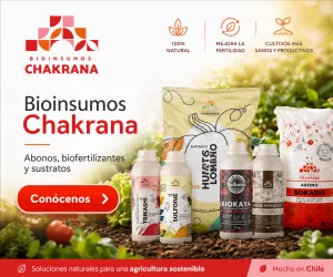 Publicidad