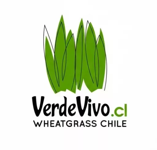 Logo de Verde Vivo