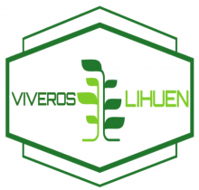 Logo de Vivero Lihuen