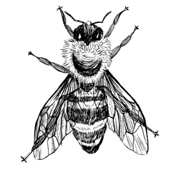 Logo de Silvestre