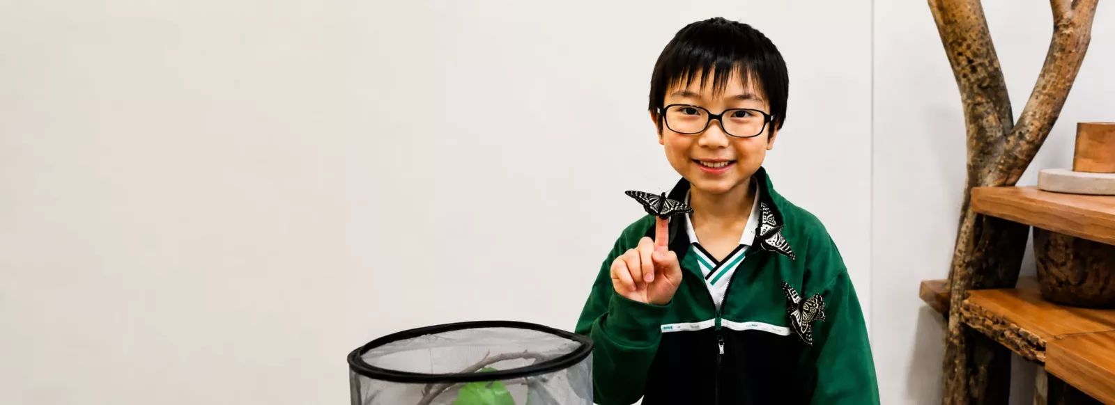 Jo Nagai investiga las mariposas: el aprendizaje de la oruga podrían persistir tras la metamorfosis