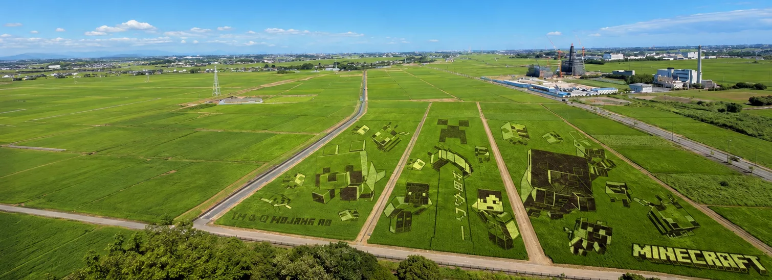 Minecraft sale de la pantalla: 1.000 personas convierten un arrozal japonés en arte vivo